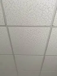 Dalles faux plafond – 60 m² – Vannes