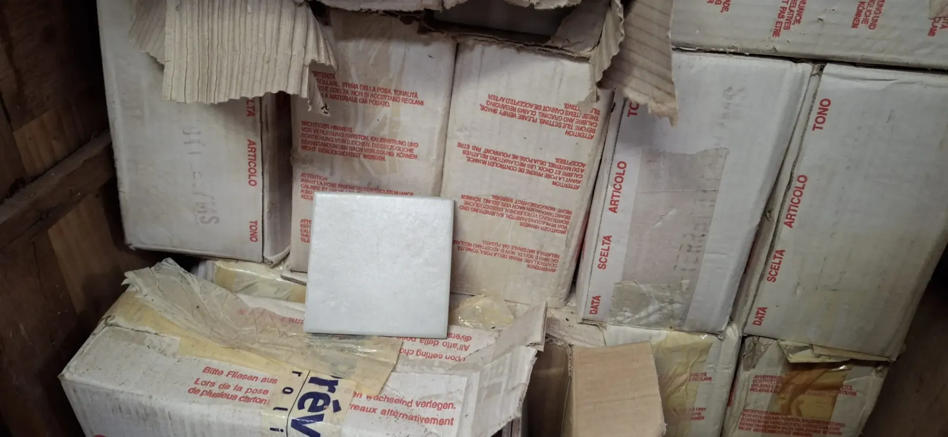 Pergola métallique – 5 m × 3 m – Vannes